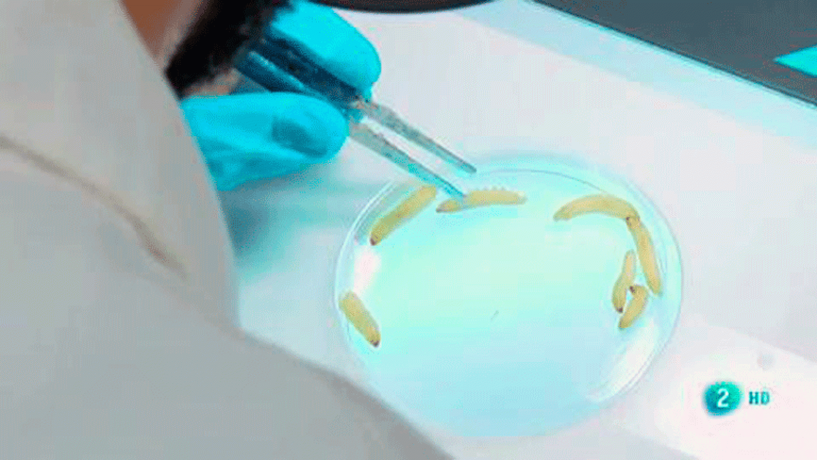 La aventura del saber Universo Sostenible 2: Vacunas y pseudociencia