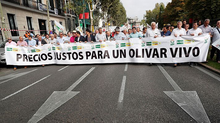 Informativo 24h - Manifestación de olivareros en Madrid
