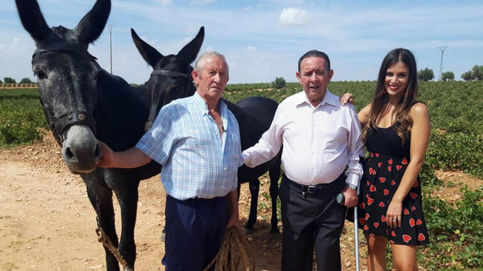 El tratante de Bolaños