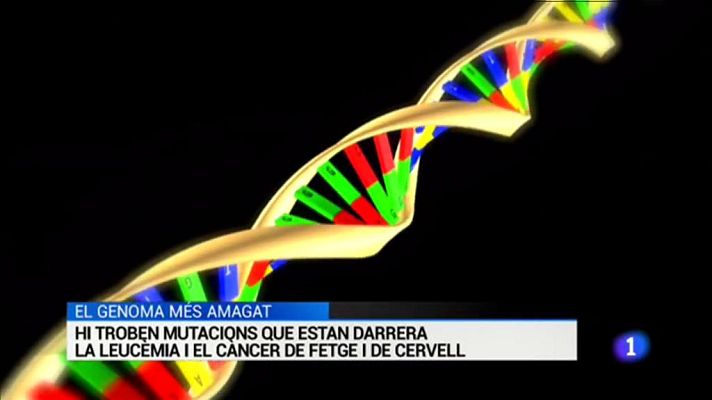 L'Informatiu - L'Informatiu  - 10/10/2019