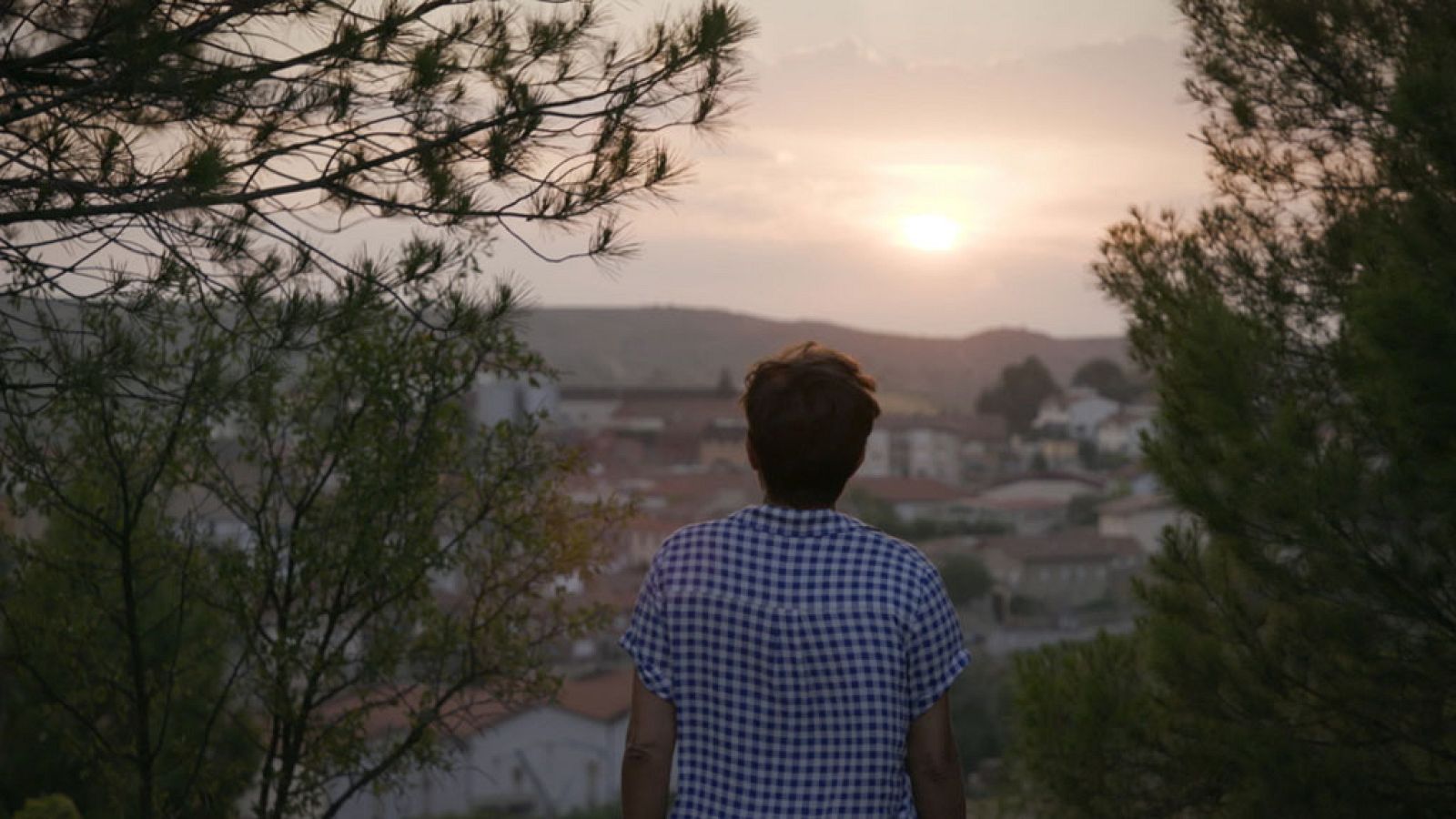 La Paisana - Elciego - ver ahora