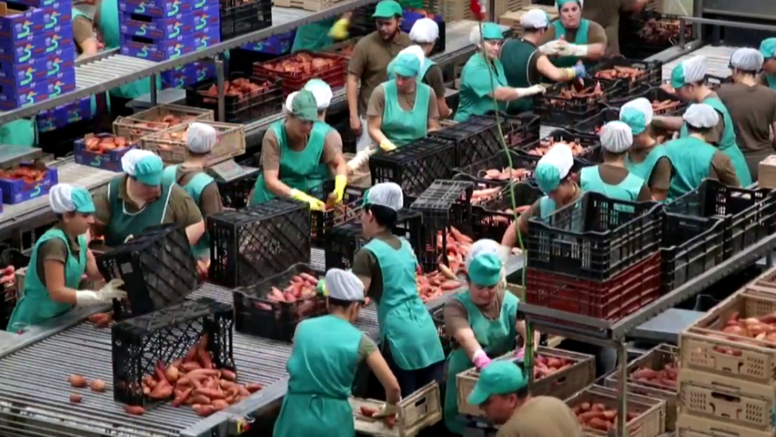 Fábrica de ideas - Imita: Frusana | Ver