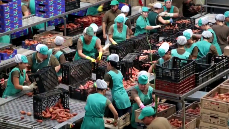 Fábrica de ideas - Imita: Frusana | Ver