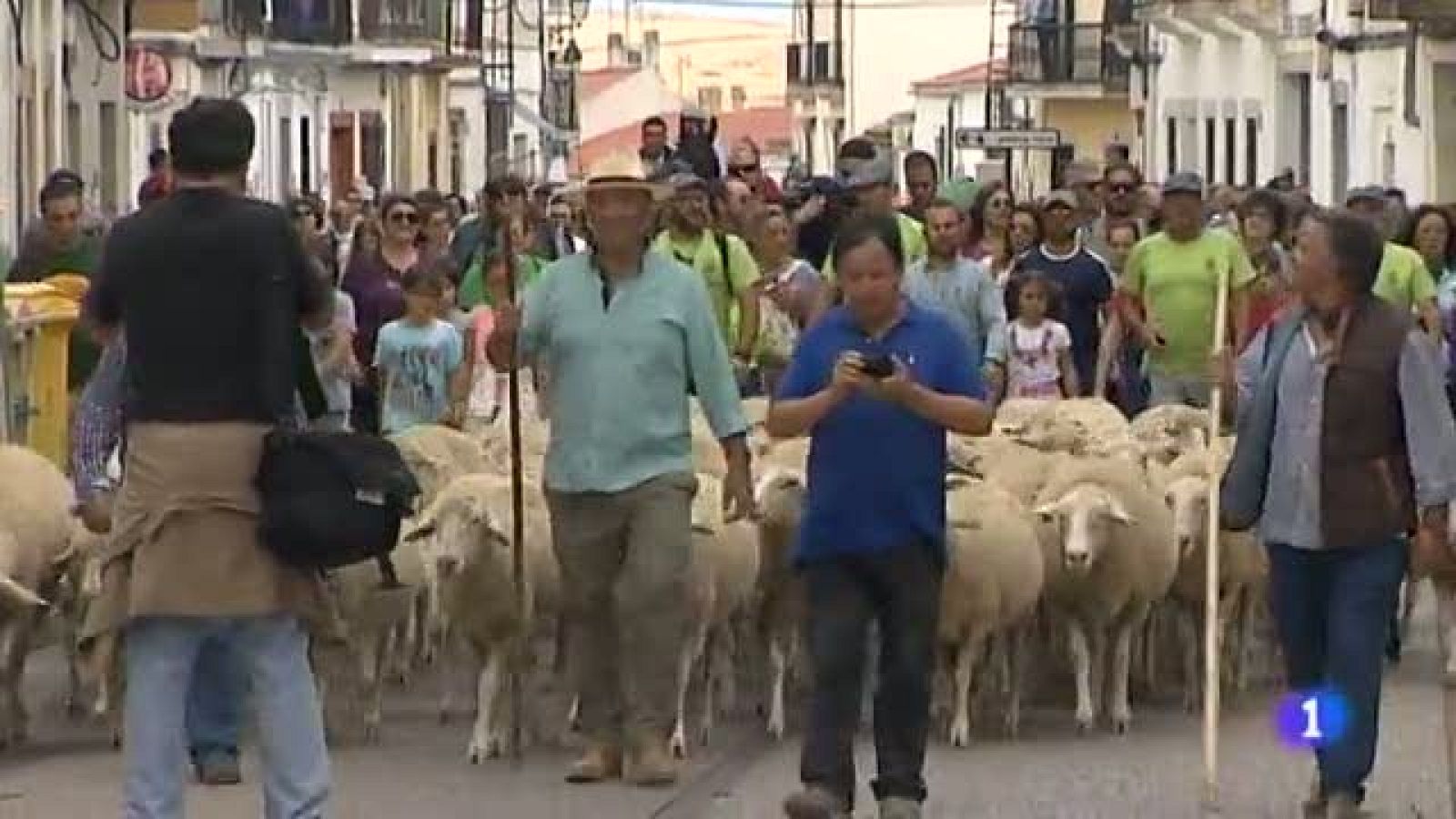 Noticias de Extremadura - Feria Torta del Casar - 14/10/19 | Ver