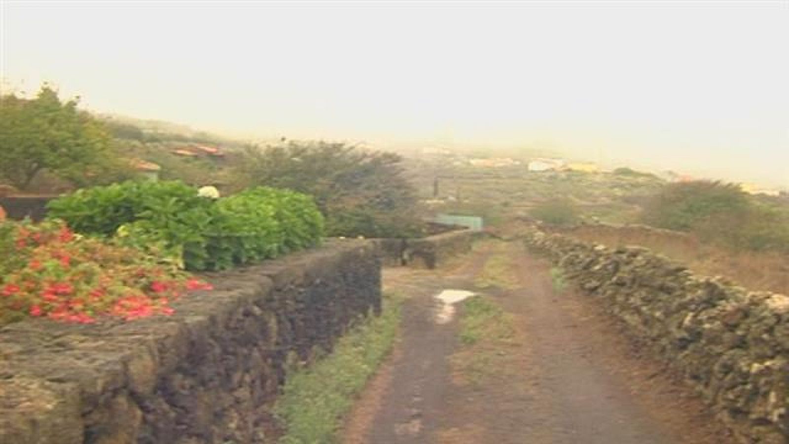 El tiempo en Canarias - 14/10/2019