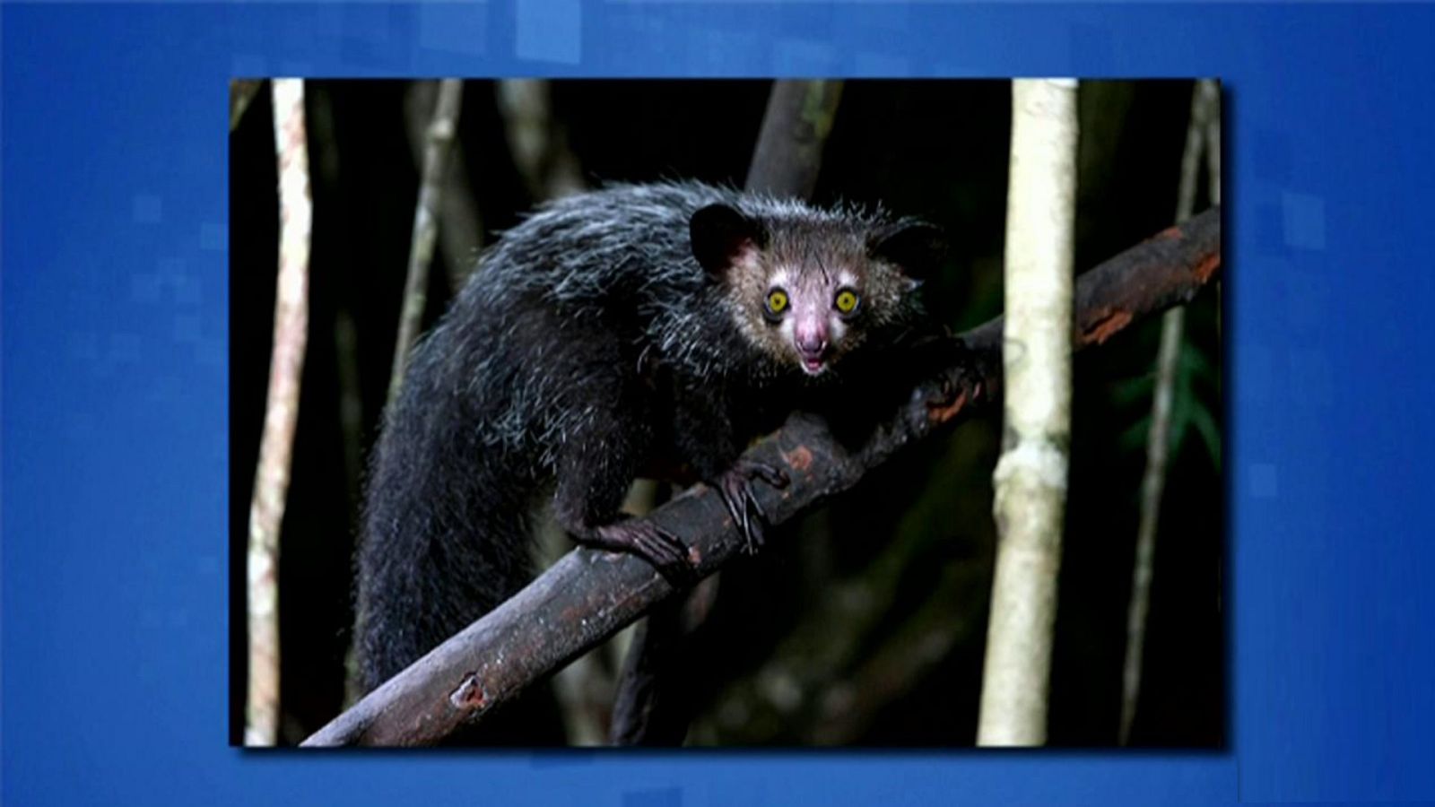 Saber y ganar - 14/10/19 - ver ahora