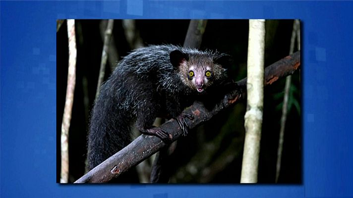 Saber y ganar - Saber y ganar - 14/10/19