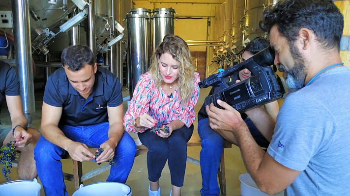 Aquí la Tierra - Uva a uva