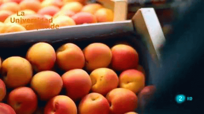 La aventura del Saber - ¿Realmente son eficaces los alimentos funcionales?