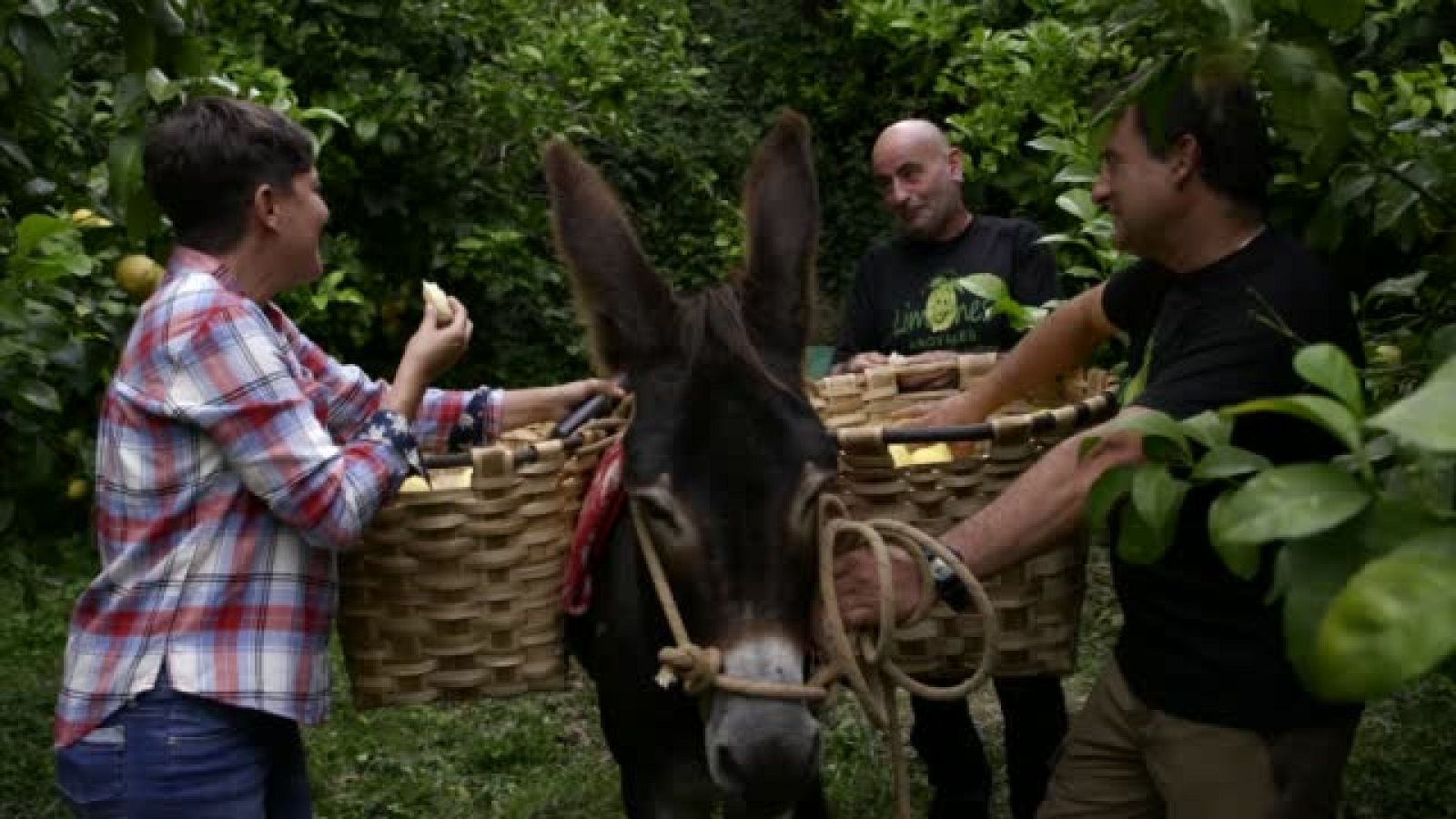 La Paisana - Las gamberradas de Nene y Culi