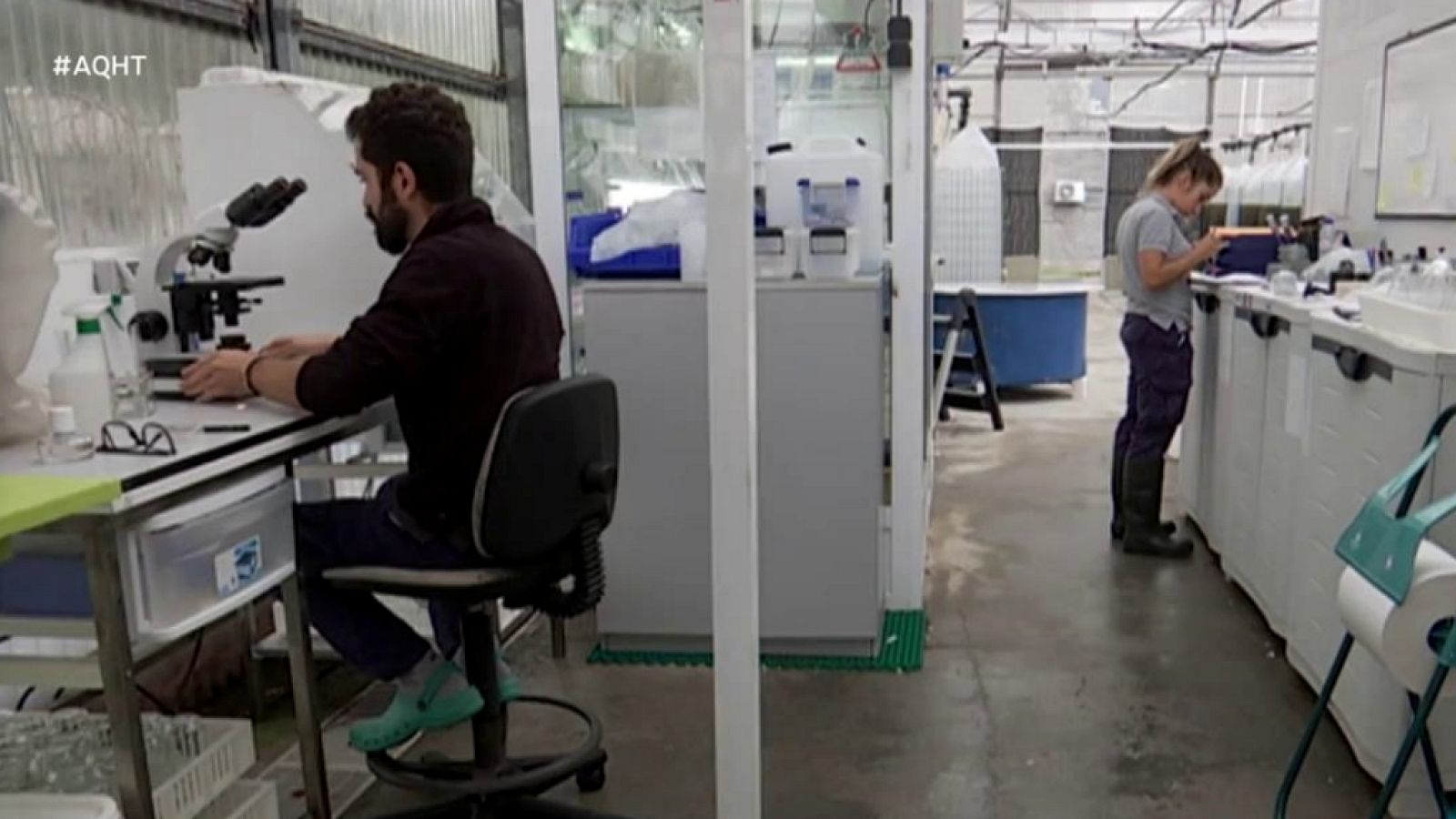 Aquí hay trabajo - 16/10/19 - ver ahora