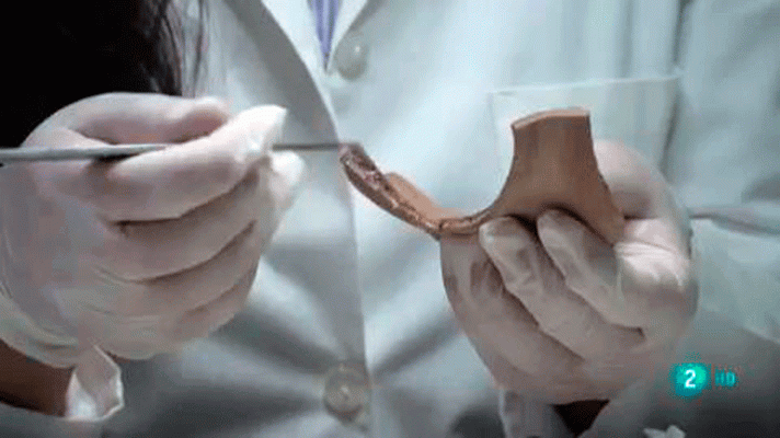 La aventura del Saber - Universo Sostenible 2: Prehistoria y evolución