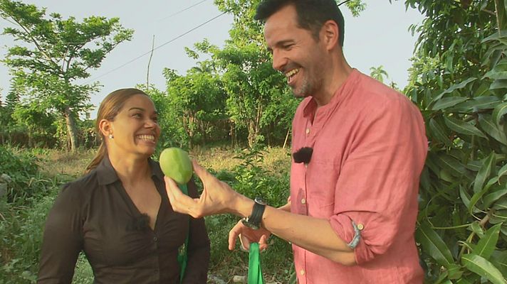 Aquí la Tierra - María Marte y el mango, ingrediente de temporada
