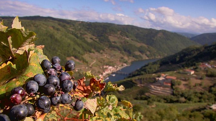 Aquí la Tierra - Aquí la Tierra - 16/10/19