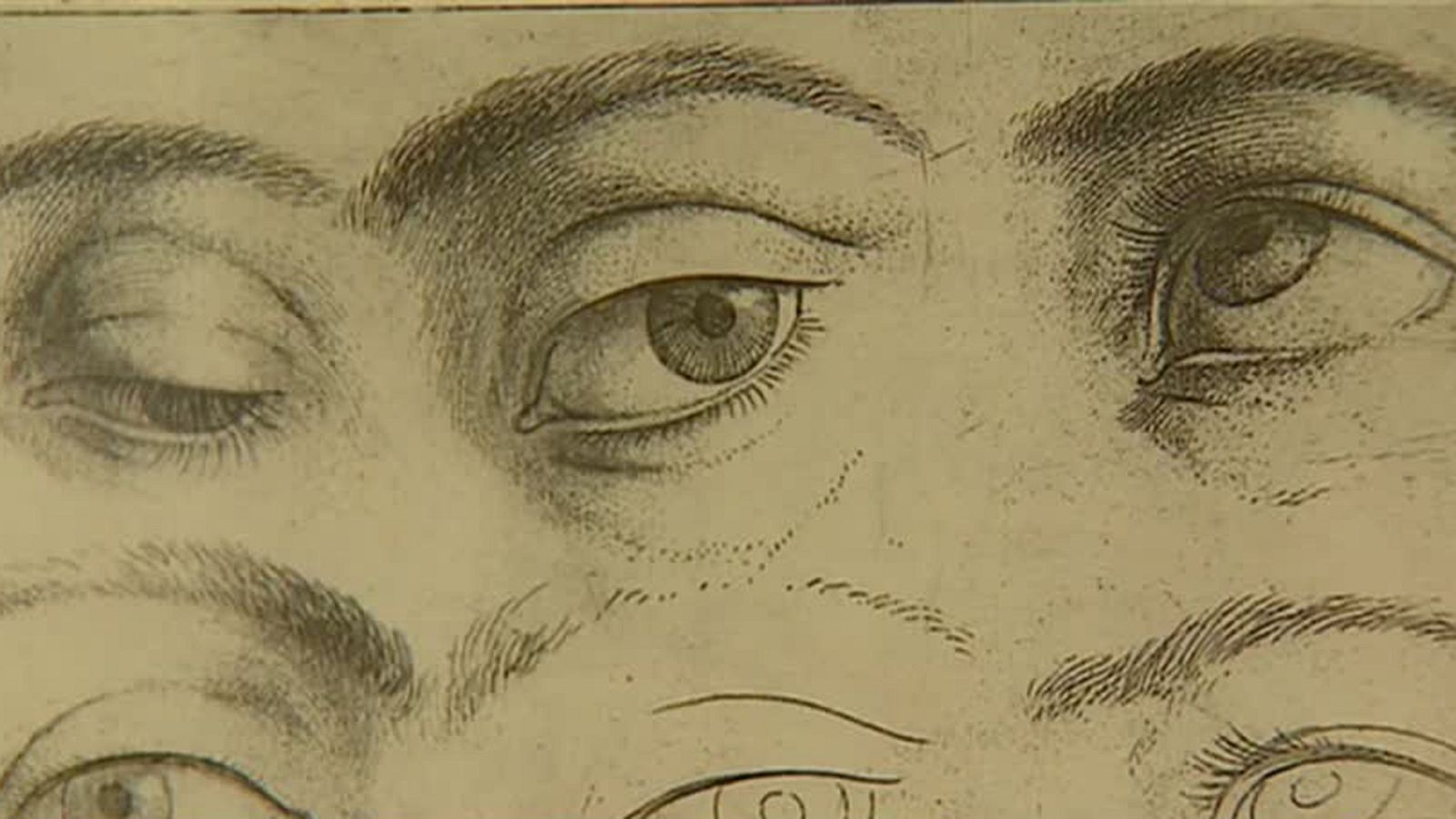 El dibujo, la base de todo