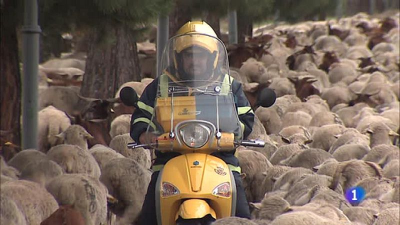 Informativo de Madrid 2 - 17/10/19 - Ver ahora