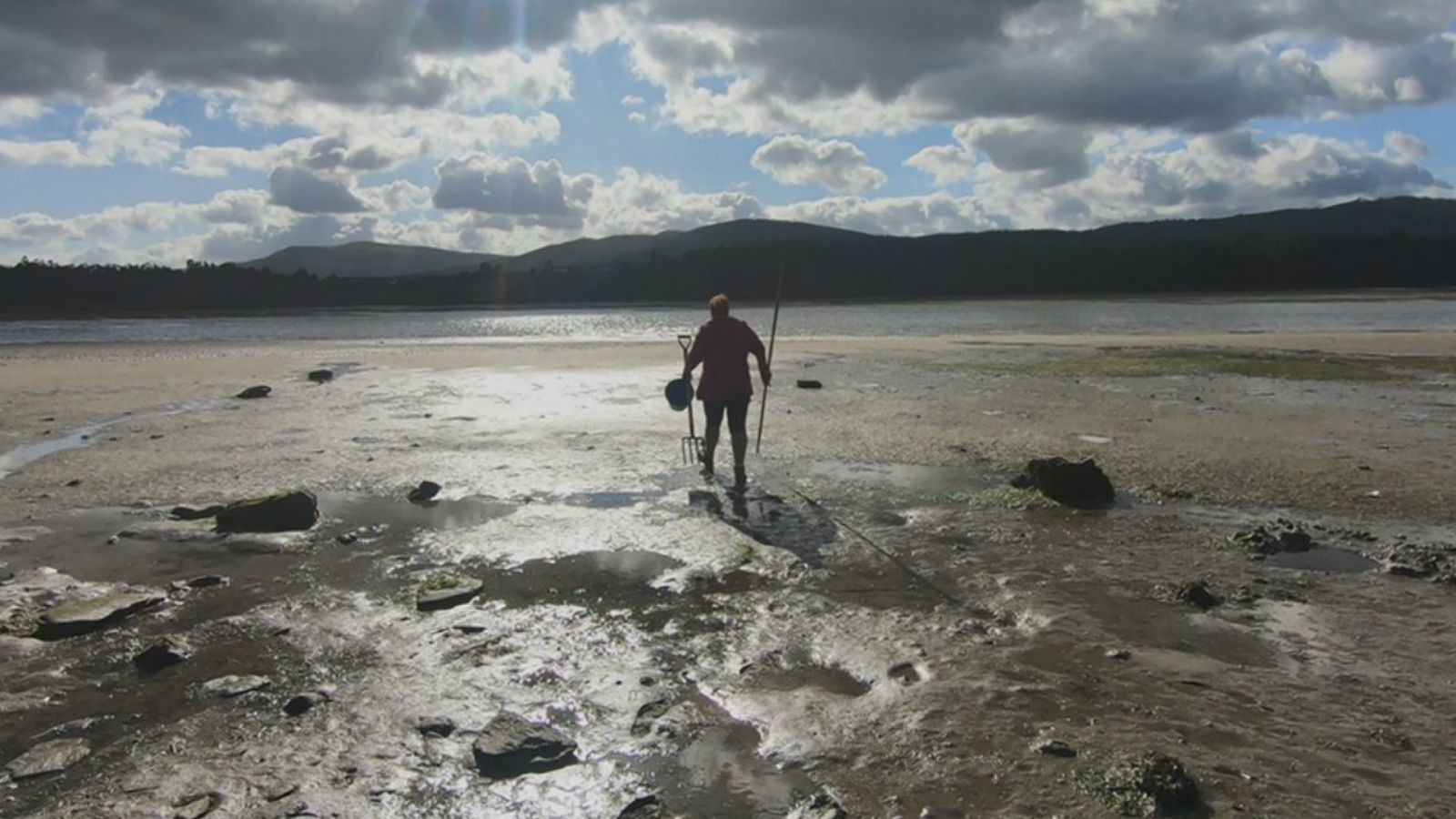 La llamada de las grandes mareas | Ver