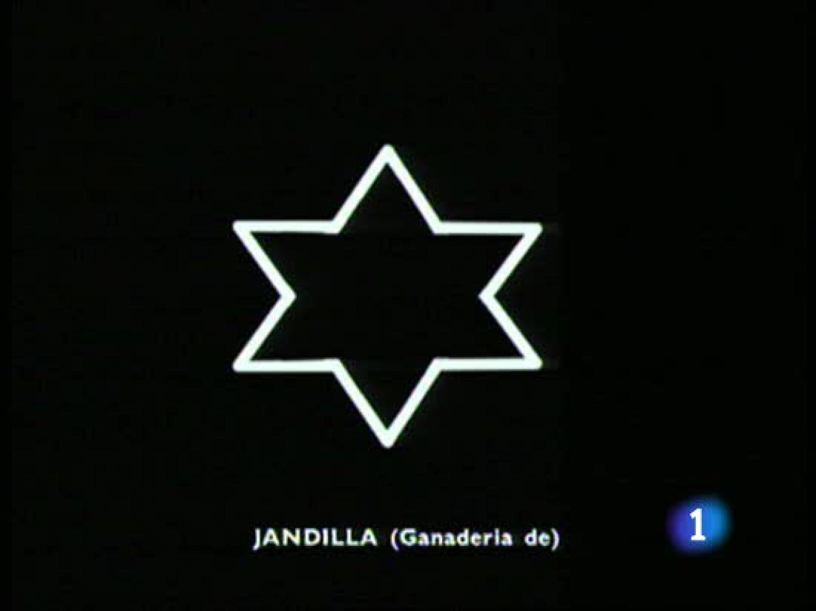 Así son los toros de Jandilla