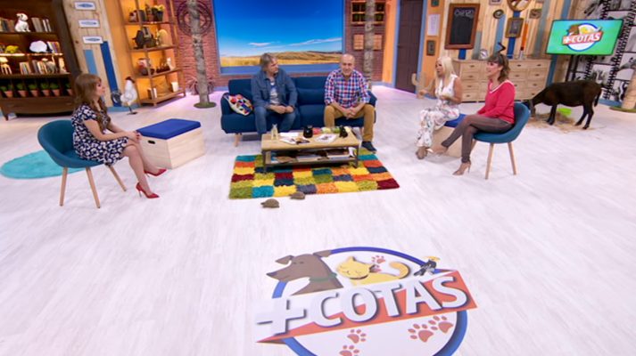 +Cotas - Programa 16