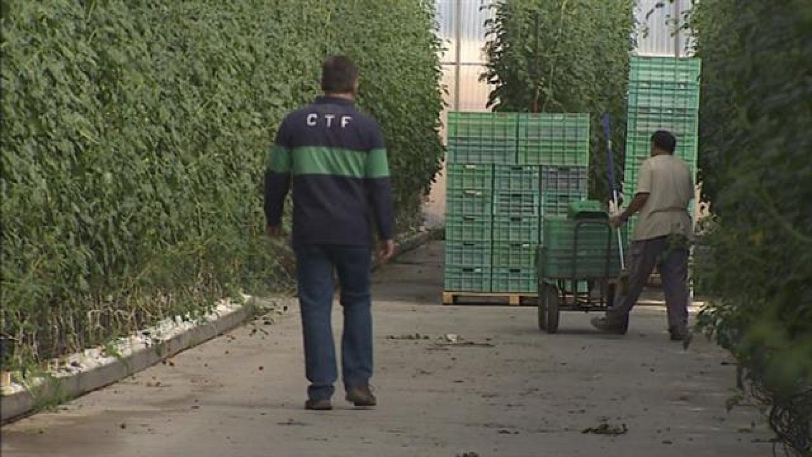 Canarias en 2' - 19/10/2019