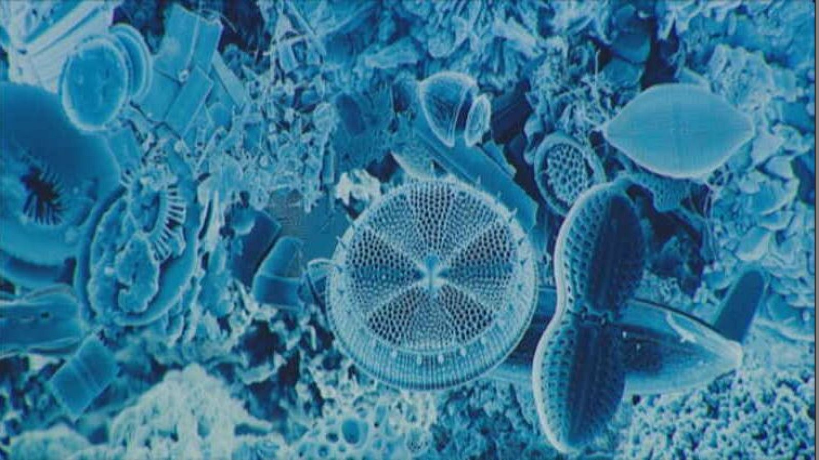 Lab24 - Gentica de la historia y Revolucin cuntica