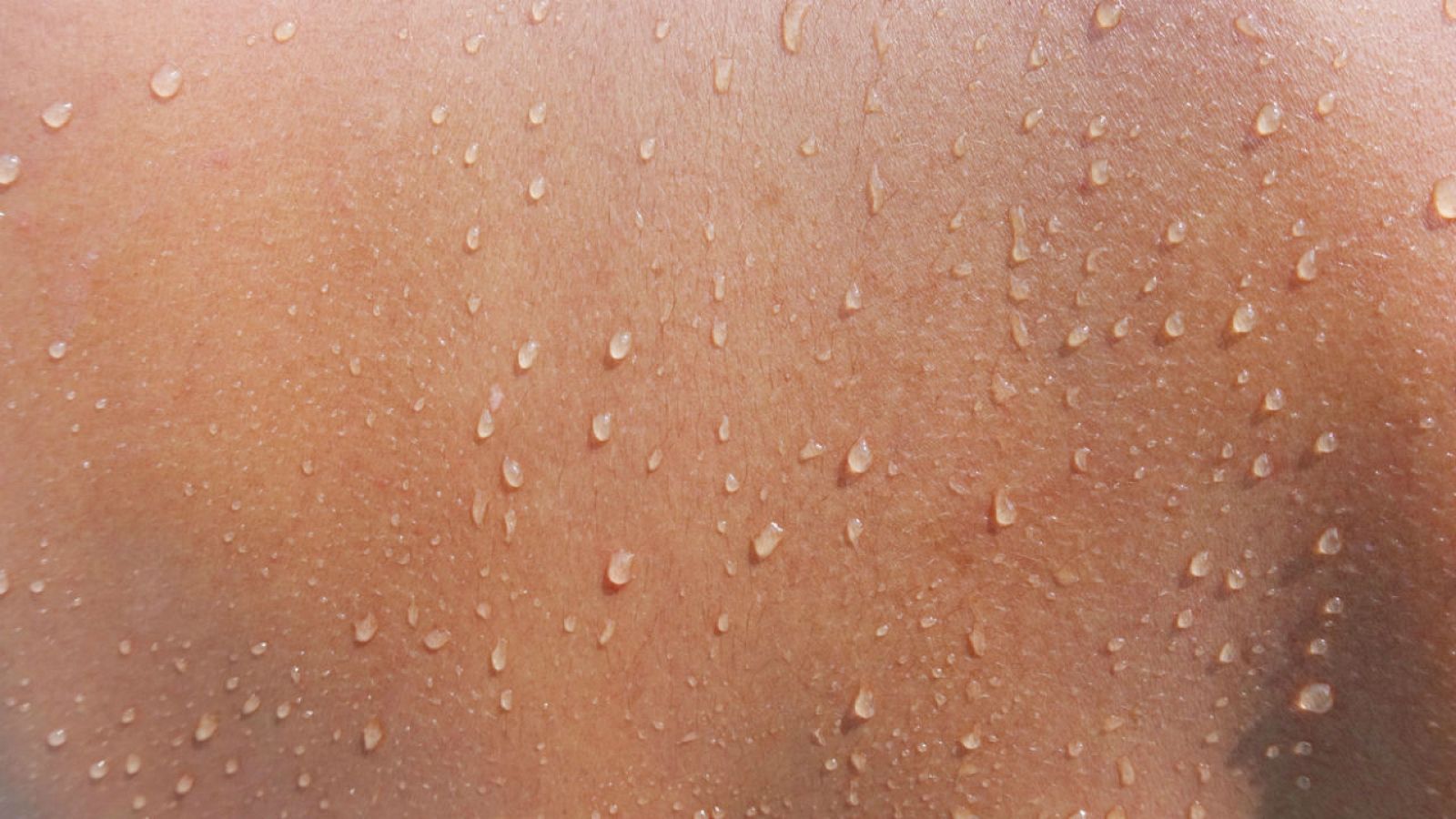 La mañana - Descubren cómo la epidermis detecta la temperatura