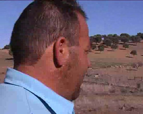 Repor - Avance - Mozo soltero busca