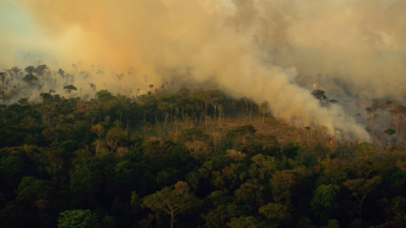 Documentos TV - Brasil, bueyes, biblias y balas - ver ahora
