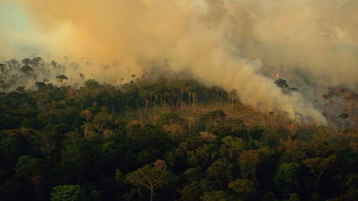 Documentos TV - Brasil, bueyes, biblias y balas