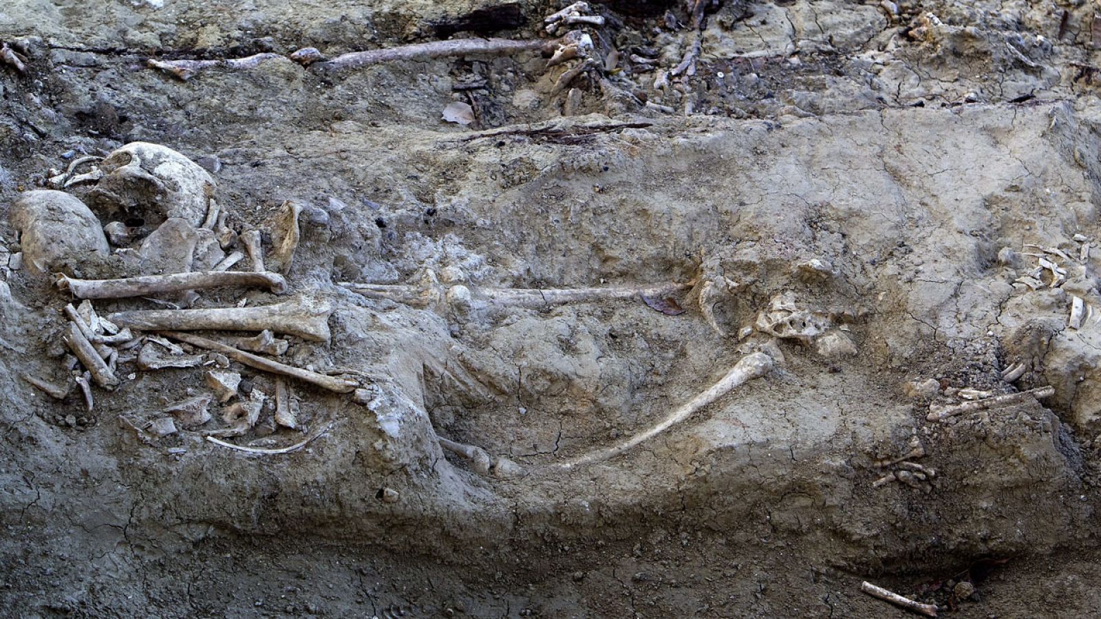 Exhumación Franco: Las víctimas relatan las torturas que sufrieron durante el franquismo - Los desayunos | Ver