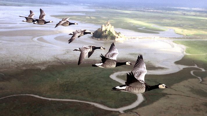 Documaster - Nómadas del viento