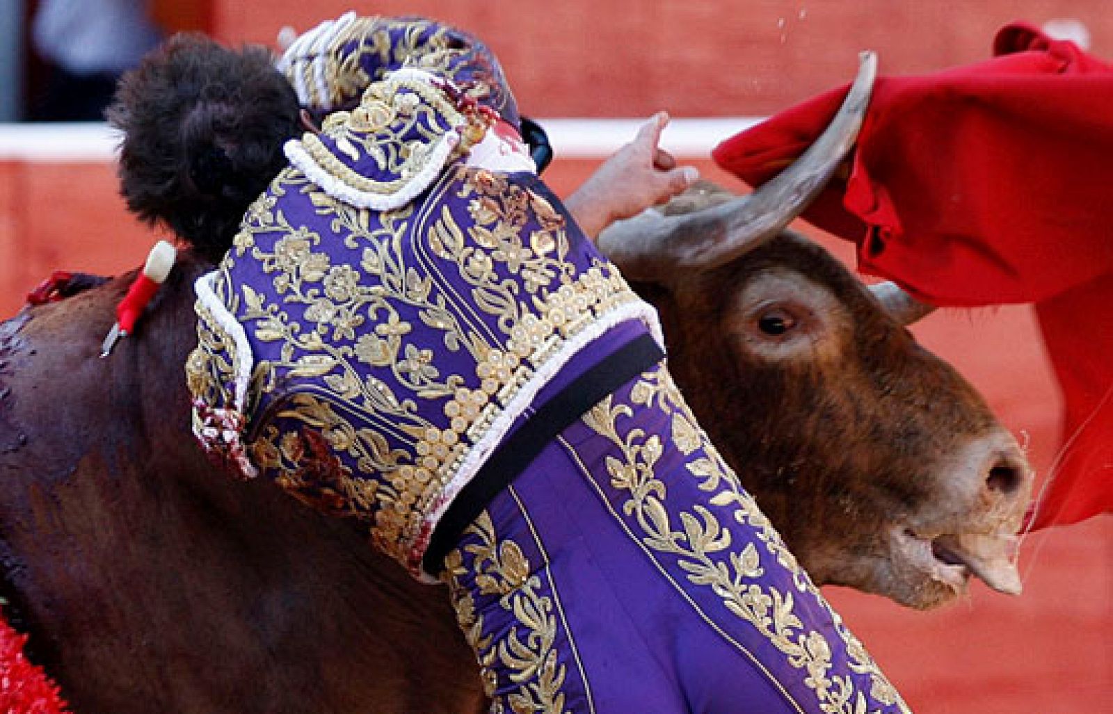 'Capuchino' muere en Pamplona | Ver