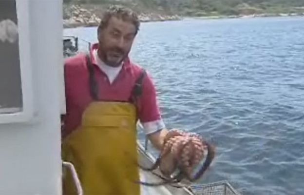  - Empieza la temporada del pulpo
