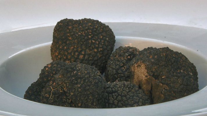 Aquí la Tierra - Los reyes del Moncayo