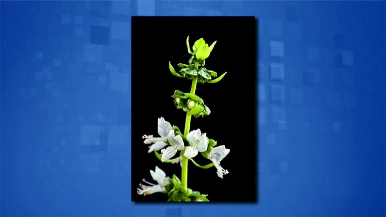 Saber y ganar - 25/10/19 - ver ahora