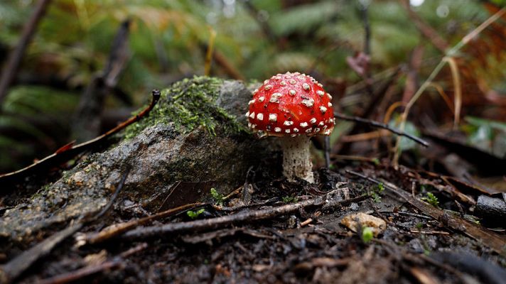 El tiempo - Temperaturas al alza en casi todo el país