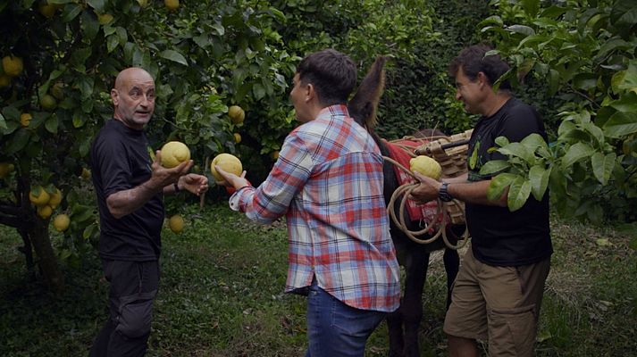 La paisana - Alfoz de Lloredo
