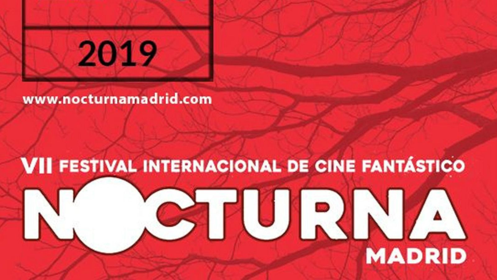 Festival Nocturna 2019 | Ver