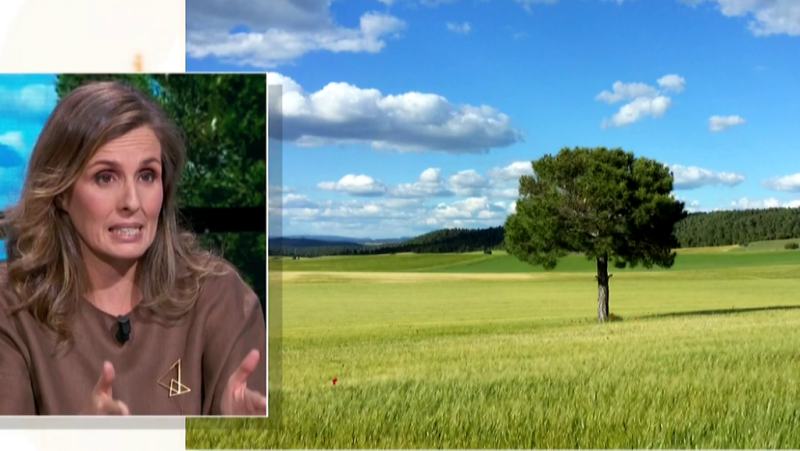 Fábrica de ideas - Invierte: PlenEat