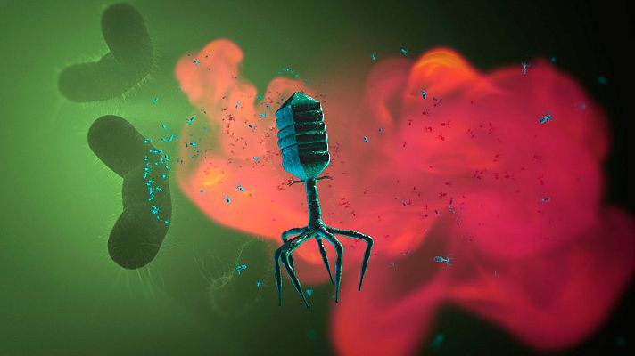 La noche temática - Asesinos de bacterias - Avance