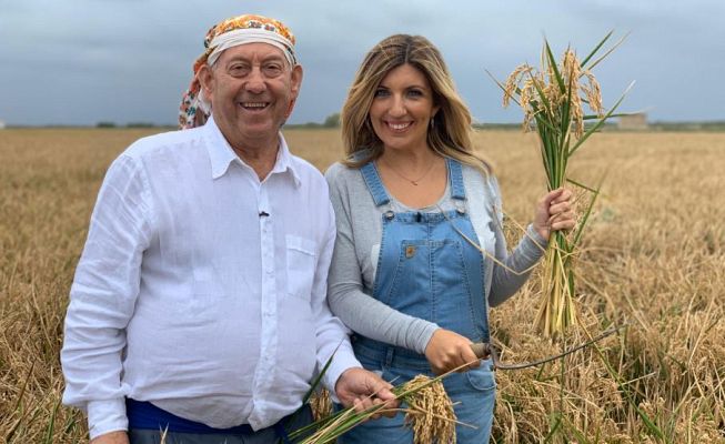 Aquí la Tierra - Arroz  cosechado a la antigua