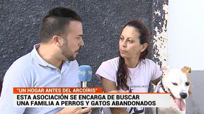 Cerca de ti - Cerca de ti - 28/10/2019