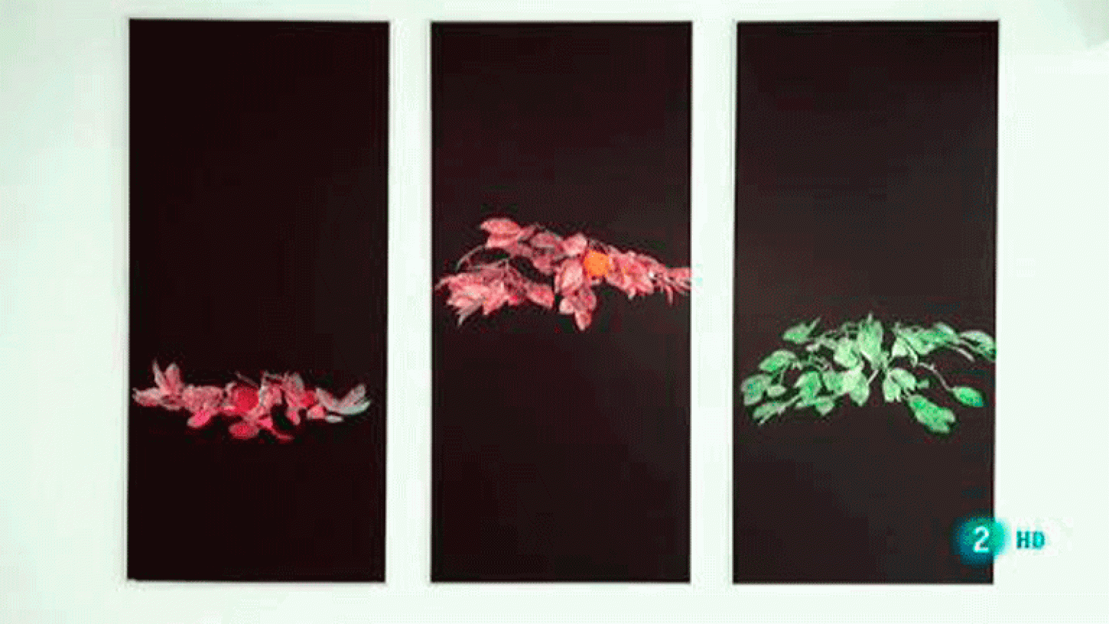 LABoral y la Colección Los Bragales La aventura del saber La Sala de Arte Joven XXIX edición 'Muestra de Artes Plásticas del Principado de Asturias