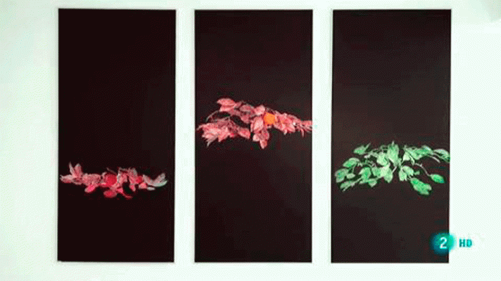 La aventura del Saber - 29 Muestra de Artes Plásticas, Asturias