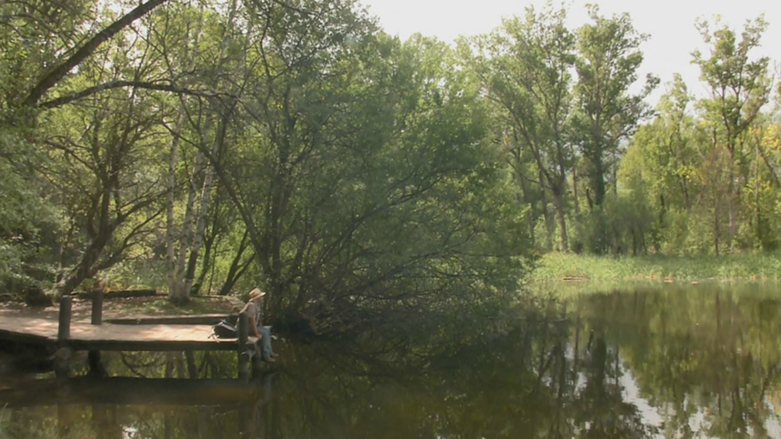 Juan Plantas y el pediluvio