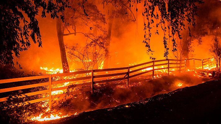 Telediario 1 - Telediario Matinal en 4' - 29/10/2019