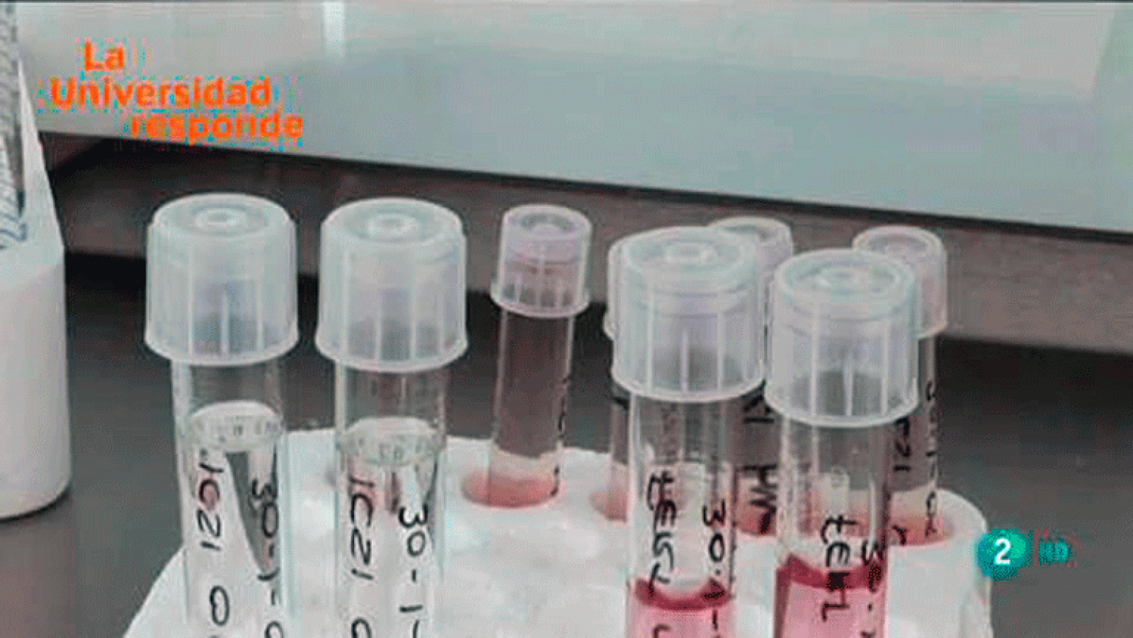 La aventura del saber ¿Es posible concebir bebés a la carta? Universidad de Extremadura. La Universidad Responde.