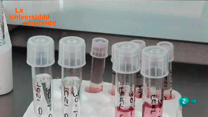 La aventura del Saber - ¿Es posible concebir bebés a la carta?