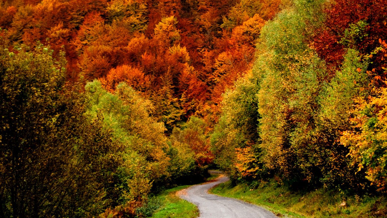 El Tiempo - 30/10/19 - ver ahora - El tiempo | Ver
