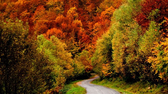 El tiempo - Intervalos de viento fuerte y precipitaciones localmente fuertes en el suroeste de Galicia